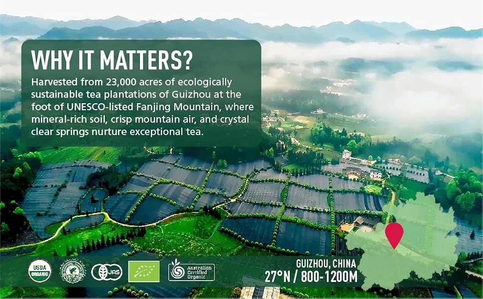 Matcha--Ceremonial Grade Organic Matcha Green Tea Powder,Premium First Harvest Unsweetened,1 0 0 Pure Matcha ForLattes,S - image 4